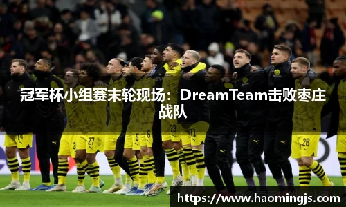 冠军杯小组赛末轮现场：DreamTeam击败枣庄战队